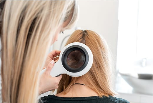 Best Manuka Honey Shampoo And Conditioner